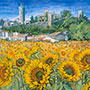 Sunflowers Landscape