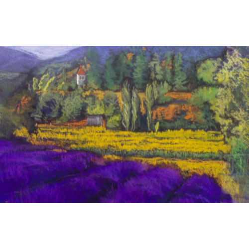 Lavendar Fields