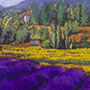 Lavendar Fields I