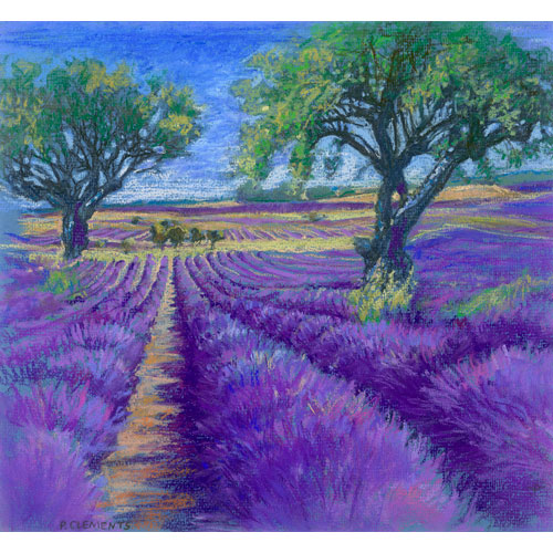 lavendar