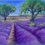 lavendar