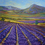 Lavendar Fields II